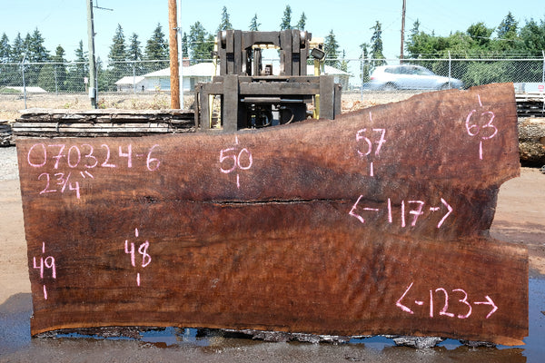 Oregon Black Walnut Slab 070324-6