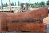 Oregon Black Walnut Slab 070324-7