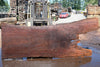 Oregon Black Walnut Slab 070324-8