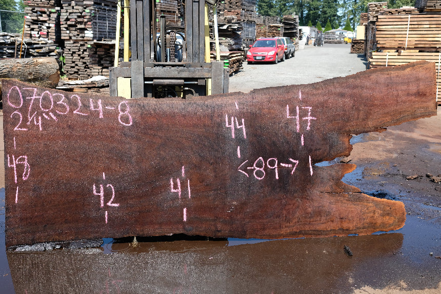 Oregon Black Walnut Slab 070324-8