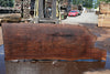 Oregon Black Walnut Slab 070324-9