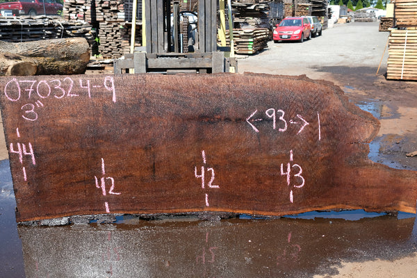 Oregon Black Walnut Slab 070324-9