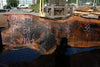 Bastogne Walnut Slab 071624-1