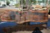 Bastogne Walnut Slab 071624-2