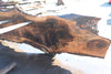 Bastogne Walnut Slab 071624-2