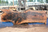 Bastogne Walnut Slab 071624-3