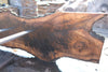 Bastogne Walnut Slab 071624-3