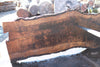 Bastogne Walnut Slab 071624-3