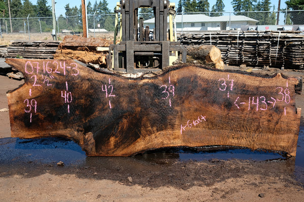 Bastogne Walnut Slab 071624-3