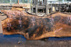 Bastogne Walnut Slab 071624-3