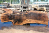 Bastogne Walnut Slab 071624-4