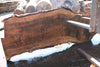 Bastogne Walnut Slab 071624-4