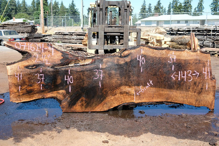 Bastogne Walnut Slab 071624-4