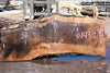 Bastogne Walnut Slab 071624-4