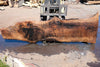 Bastogne Walnut Slab 071624-5