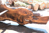 Bastogne Walnut Slab 071624-5