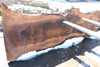 Bastogne Walnut Slab 071624-5