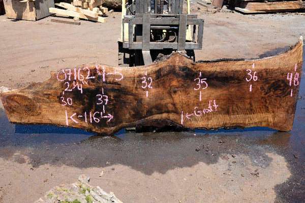 Bastogne Walnut Slab 071624-5