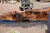 Bastogne Walnut Slab 071624-5