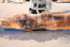 Bastogne Walnut Slab 071624-5