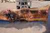 Bastogne Walnut Slab 071624-5