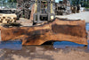 Bastogne Walnut Slab 071624-6