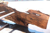 Bastogne Walnut Slab 071624-6