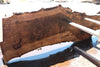 Bastogne Walnut Slab 071624-6
