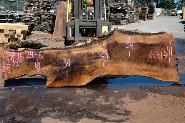 Bastogne Walnut Slab 071624-6