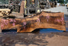 Bastogne Walnut Slab 071624-6
