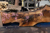 Bastogne Walnut Slab 071624-6