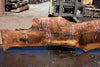 Bastogne Walnut Slab 071624-7