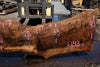 Bastogne Walnut Slab 071624-7
