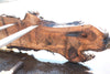 Bastogne Walnut Slab 071624-8