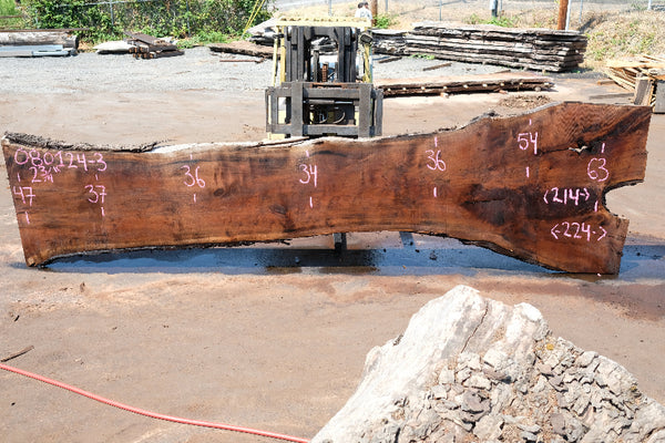 Oregon Black Walnut Slab 080124-03