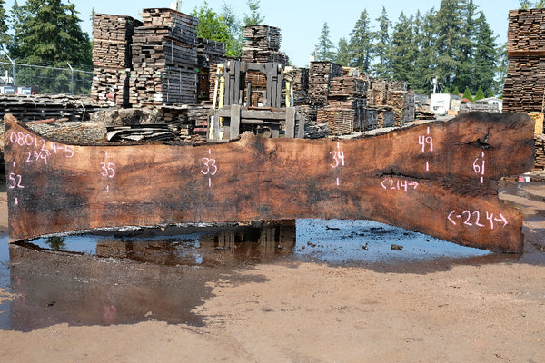 Oregon Black Walnut Slab 080124-05