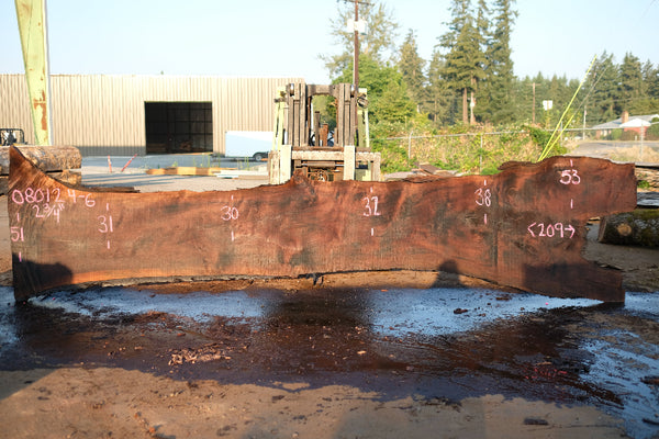 Oregon Black Walnut Slab 080124-06