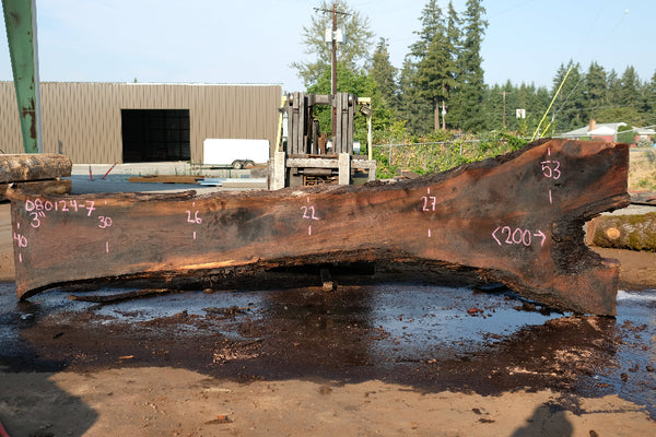Oregon Black Walnut Slab 080124-07