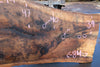 English Walnut Slab 080824-1