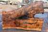 English Walnut Slab 080824-2