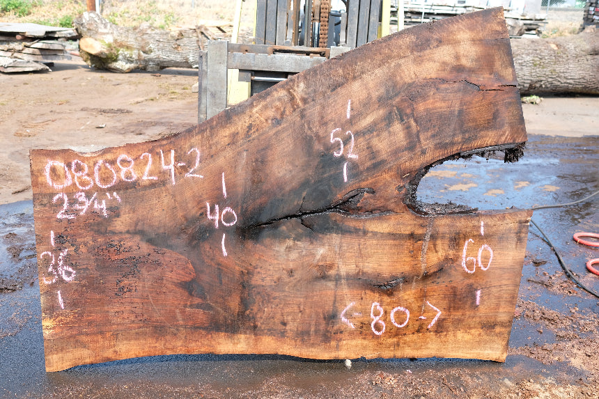 English Walnut Slab 080824-2