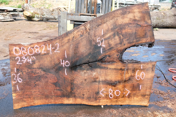 English Walnut Slab 080824-2