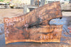 English Walnut Slab 080824-2