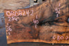English Walnut Slab 080824-2