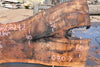 English Walnut Slab 080824-2