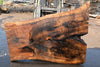English Walnut Slab 080824-4