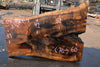 English Walnut Slab 080824-4