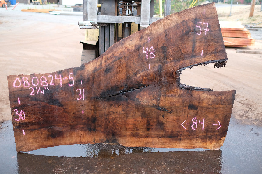English Walnut Slab 080824-5