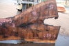 English Walnut Slab 080824-5