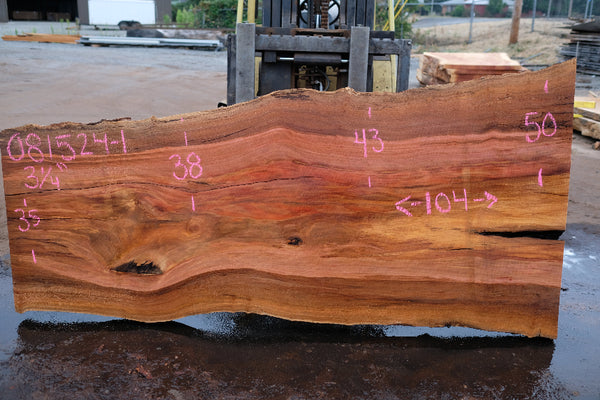 Sycamore Slab 081524-1